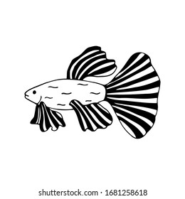 Hand drawn fish isolated on a white background. Doodle, simple outline illustration. It can be used for decoration of textile, paper.