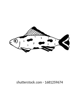 Hand drawn fish isolated on a white background. Doodle, simple outline illustration. It can be used for decoration of textile, paper.