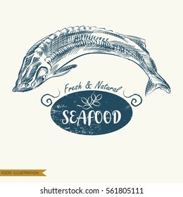 Hand drawn fish isolated on white background. Seafood elements sketch. Oysters vector illustrator. Retro style