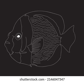 Hand drawn fish on black background. Vector linear fish.