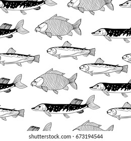 Hand drawn fish. Pike, trout and carp. Graphic vector seamless pattern
