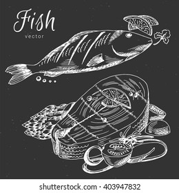Hand drawn fish, seafood, salmon steak