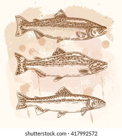 Hand drawn fish set. Vector illustration in sketch style.