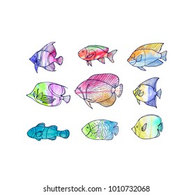 Hand drawn  fish set with watercolor background.Isolated on white. Sketch vector illustration.