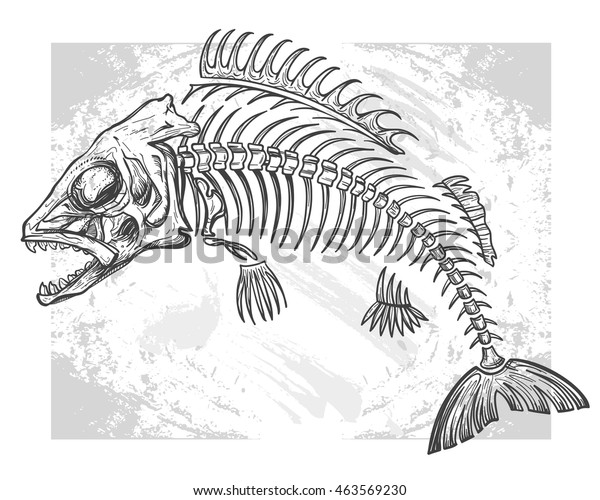 Hand Drawn Fish Skeleton Fossil Vector Stock Vector (Royalty Free ...