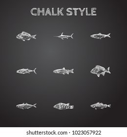 Hand drawn fish sketches set. Collection of mediterranean scad, ballan, bream and other sketch elements.