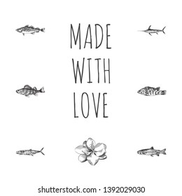 Hand drawn fish sketches set. Collection of trout, seafood, mackerel and other sketch elements.