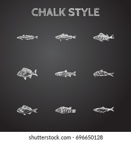 Hand Drawn Fish Sketches Set. Collection Of Carp, Mugil, Wrasse And Other Sketch Elements.