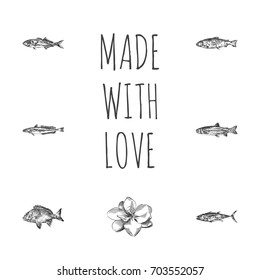 Hand Drawn Fish Sketches Set. Collection Of Trout, Tuna Fish, Lings And Other Sketch Elements.