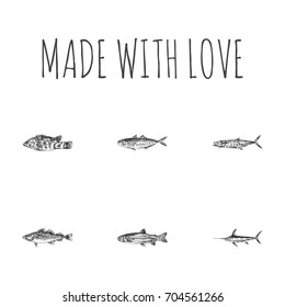 Hand Drawn Fish Sketches Set. Collection Of Swordfish, Mackerel, Seafood And Other Sketch Elements.