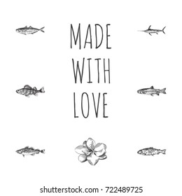 Hand Drawn Fish Sketches Set. Collection Of Trout, Swordfish, Bass And Other Sketch Elements.