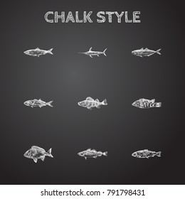 Hand Drawn Fish Sketches Set. Collection Of Aleck, Bass, Mackerel And Other Sketch Elements.