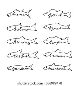 Hand Drawn Fish Species With Lettering. Tuna, Salmon, Herring, Catfish, Sardine, Perch, Sprat, Carp, Trout, Mackerel. 

