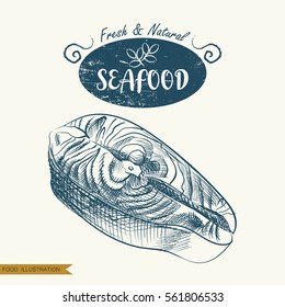 Hand drawn fish steak isolated on white background. Seafood elements sketch. Oysters vector illustrator. Retro style
