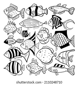 Hand drawn fish vector doodle set.fish illustration premium vector