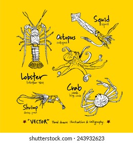 Hand drawn fish - vector illustrations