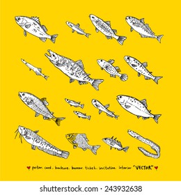 Hand drawn fish - vector illustrations
