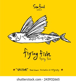 Hand drawn fish - vector illustrations