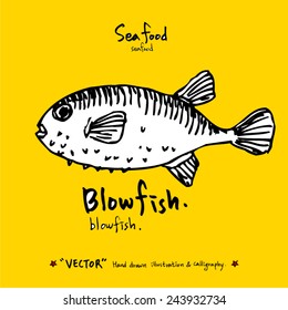 Hand drawn fish - vector illustrations