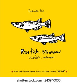 Hand drawn fish - vector illustrations