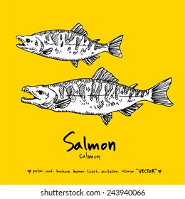 Hand drawn fish - vector illustrations