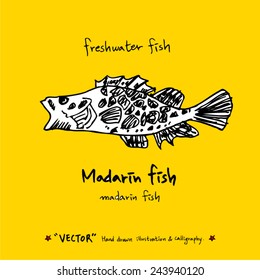 Hand drawn fish - vector illustrations