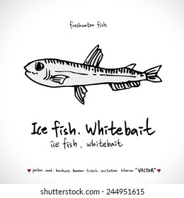 Hand drawn fish - vector illustrations