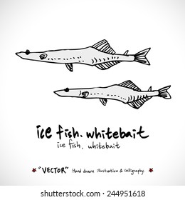 Hand drawn fish - vector illustrations
