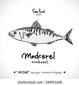 Hand drawn fish - vector illustrations