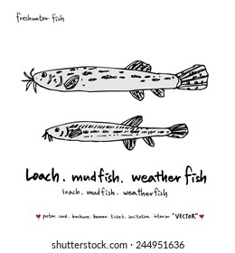 Hand drawn fish - vector illustrations