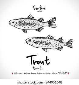 Hand drawn fish - vector illustrations