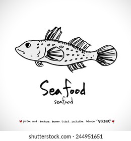 Hand drawn fish - vector illustrations