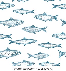 Hand Drawn Fish Vector Seamless Background Pattern. Anchovy, Herrings, and Salmons Sketches Card or Cover Template in Blue Color. Isolated.