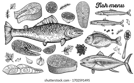 Hand drawn fishes, vector illustration. Salmon, dorado, tuna and anchovies sketches. Caviar and prepared fish steak with spices, lemon, parsley.