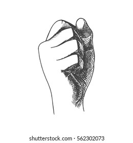 Hand drawn fist. Vector illustration.