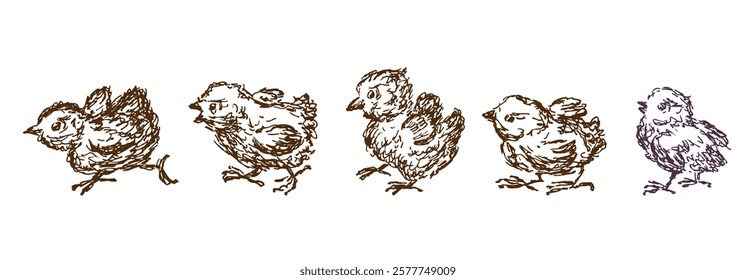 Hand drawn five cartoon chicks, doodles, vector illustration isolated on white 