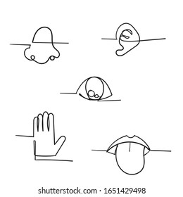 hand drawn five human sense illustration with doodle line art style