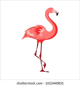 hand drawn flamingo character with pink