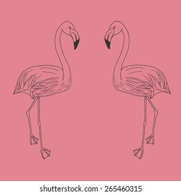hand drawn flamingo illustration