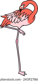 Hand drawn flamingo illustration material
