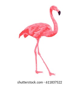 Hand drawn Flamingo. Natural colors. Illustration.