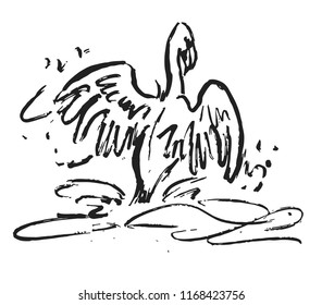 Hand drawn flamingo in a water. Vector illustration of a bird.