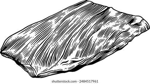 Hand drawn Flank Steak Beef Sketch illustration