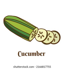 Hand drawn flat cartoon vector illustration of cucumber isolated on white background