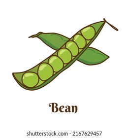 Hand drawn flat cartoon vector illustration of green bean or pea isolated on white background