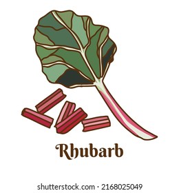 Hand drawn flat cartoon vector illustration of rhubarb isolated on white background