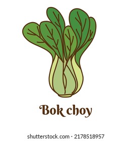 Hand drawn flat cartoon vector illustration of bok choy or Chinese white cabbage isolated on white background