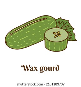 Hand drawn flat cartoon vector illustration of wax gourd, fuzzy melon, chi qua, winter melon or hairy melon isolated on white background