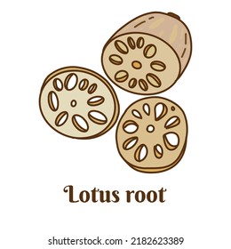 Hand drawn flat cartoon vector illustration of lotus root. isolated on white background