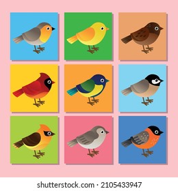 Hand drawn flat cute bird cartoon expression collection